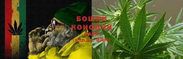 ALPHA PVP Бикин