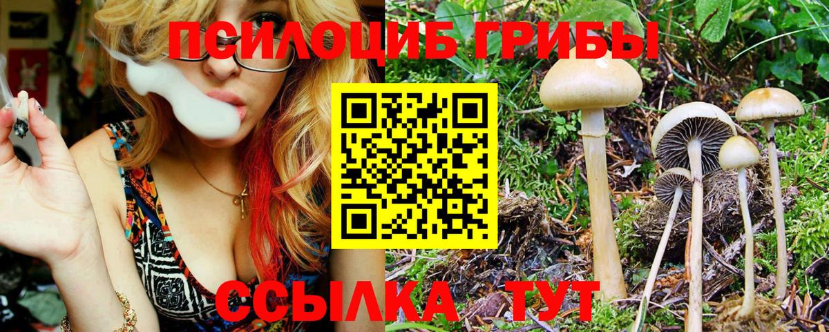 Галлюциногенные грибы MAGIC MUSHROOMS  Галлюциногенные грибы прущие грибы  Вход с VPN  как найти закладки  Новомосковск 