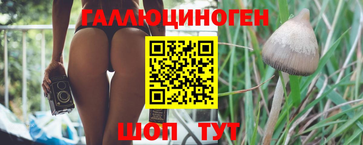 Галлюциногенные грибы мицелий Новомосковск